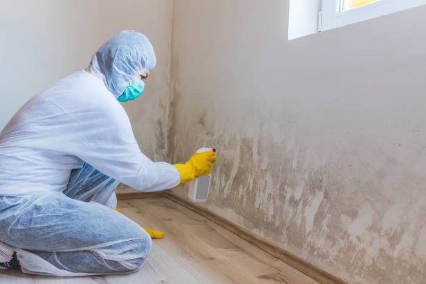Licensed Bathroom Mold Removal service in Juliustown, NJ - WQB Mold Removal