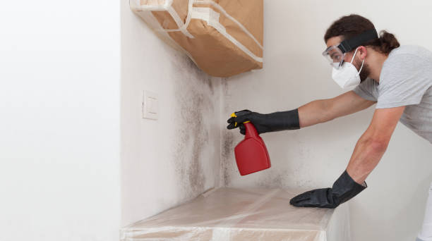 Professional Bathroom Mold Removal technician working in Juliustown, NJ