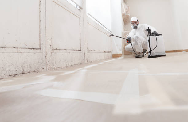 24/7 Emergency Bathroom Mold Removal experts in Juliustown, NJ