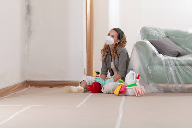 Reliable Bathroom Mold Removal contractor in Juliustown, NJ by WQB Mold Removal